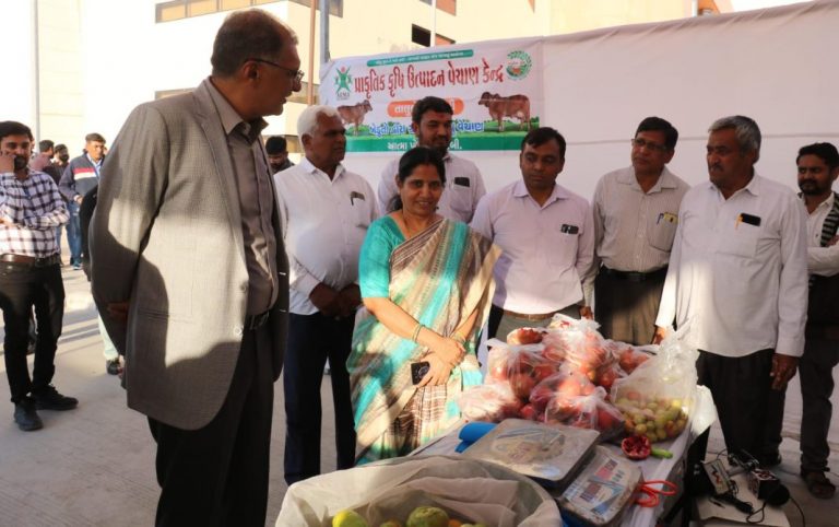 મોરબી: પ્રાકૃતિક કૃષિ કરતા ખેડૂતોની પેદાશોના વેચાણ માટે પ્રાકૃતિક કૃષિ વેચાણ કેન્દ્રનો શુભારંભ