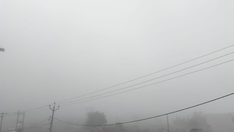 મોરબી જિલ્લામાં ગાઢ ધુમ્મસ: વિઝીબિલીટી ખોરવાતા વાહનચાલકો પરેશાન